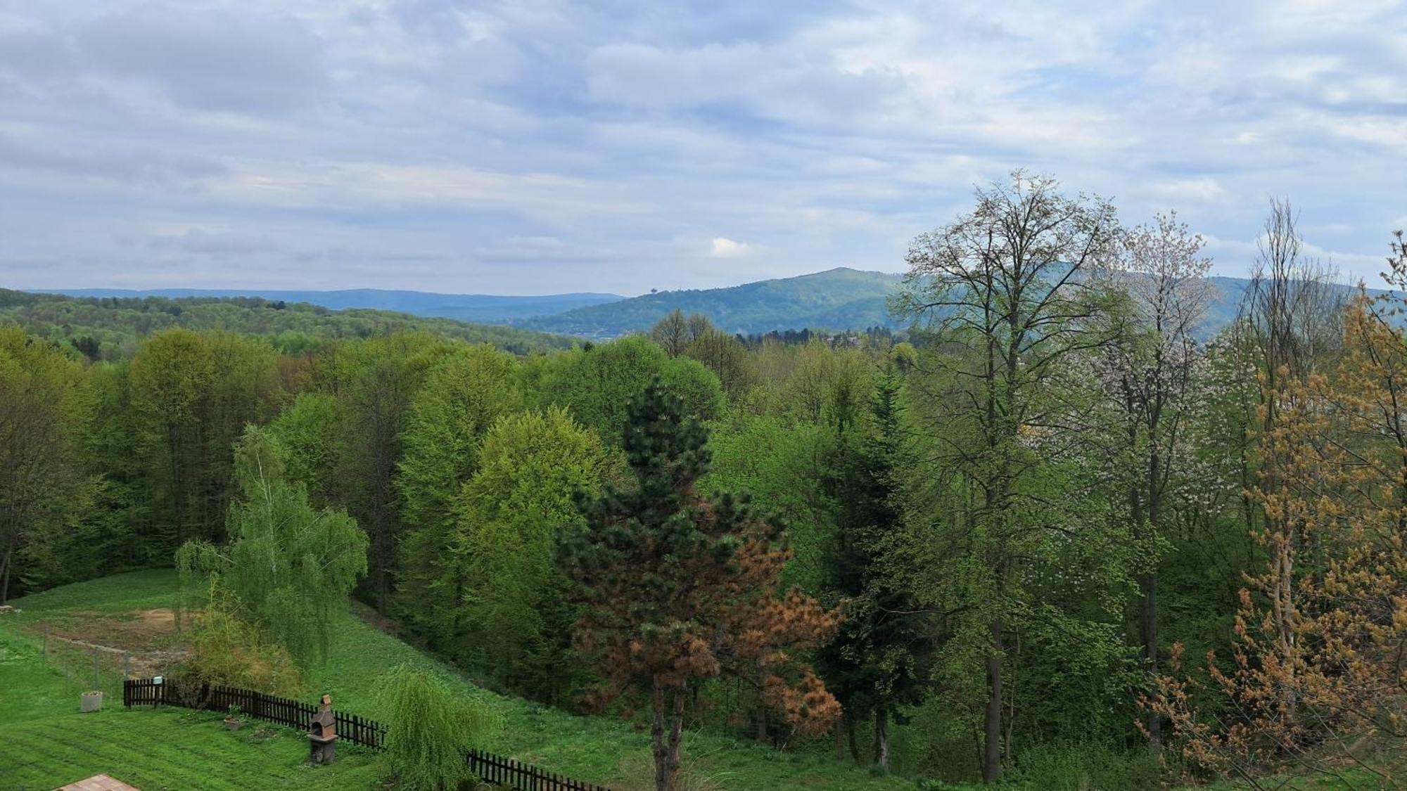 Lisc Klonu Polańczyk Exterior foto